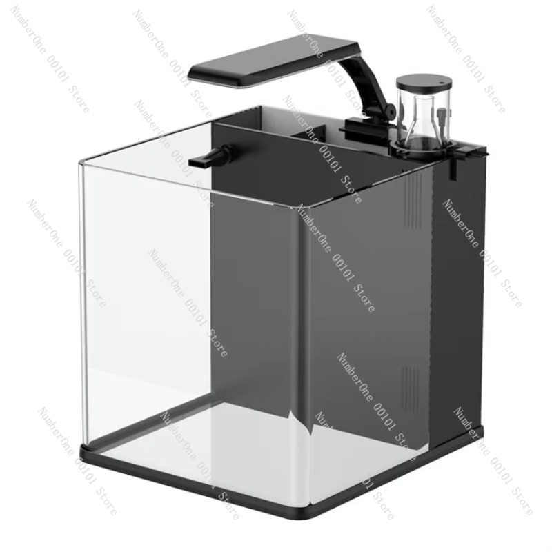 Marine Aquarium In Clearwater - Ultra Clear Glass Mini Salt Water