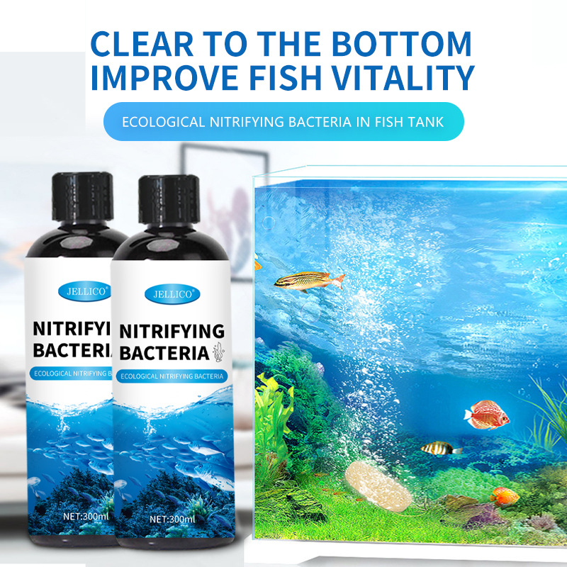 Marine Aquarium In Clearwater - 300ml Nitrifying Bacteria Aquarium Water Purifier