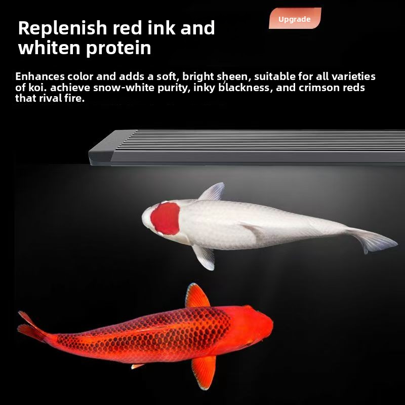 Marine Aquarium In Clearwater - LED Aquarium Light for Fish Tank