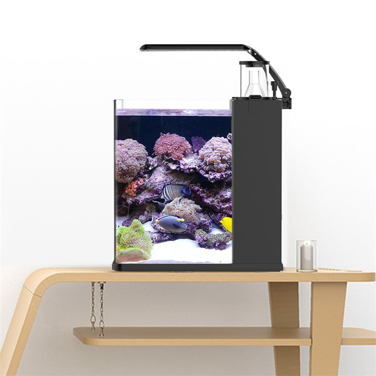skynuo Ultra Clear Glass Mini  - Marine Aquarium In Clearwater review and price