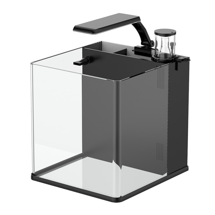 Latest Model Clear Glass Mini  - Marine Aquarium In Clearwater review and price