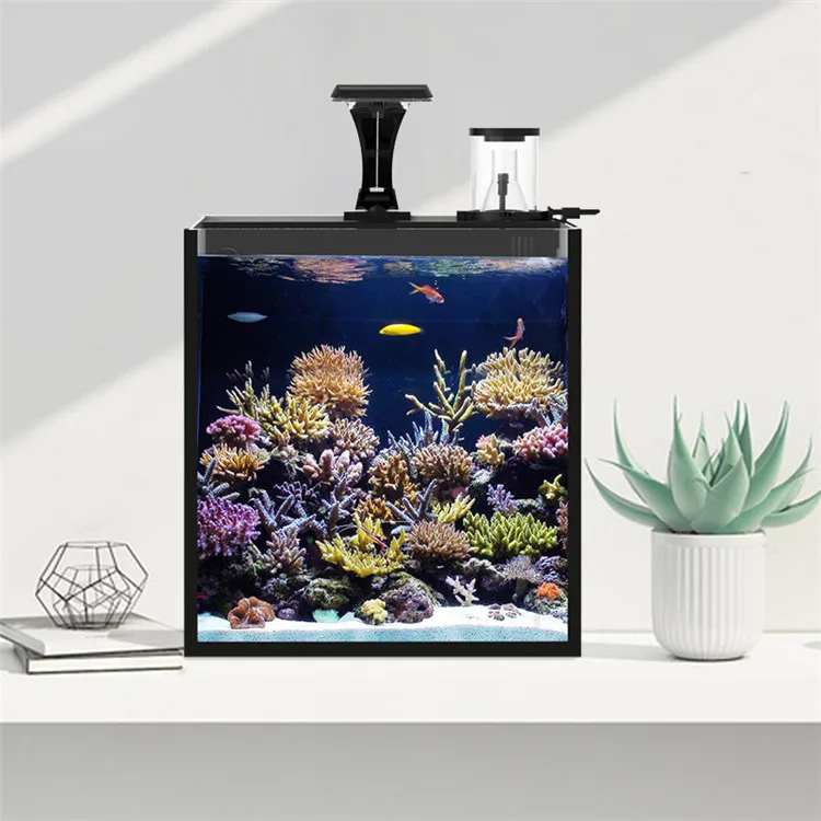 Latest Model Clear Glass Mini  - Marine Aquarium In Clearwater review and price