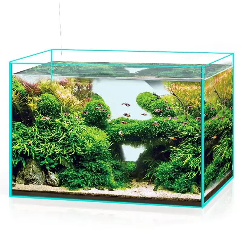 Ultra Clear Glass Aquarium Fis - Marine Aquarium In Clearwater review and price