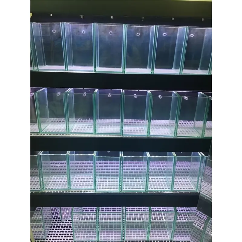 Ultra Clear Glass Aquarium Fis - Marine Aquarium In Clearwater review and price