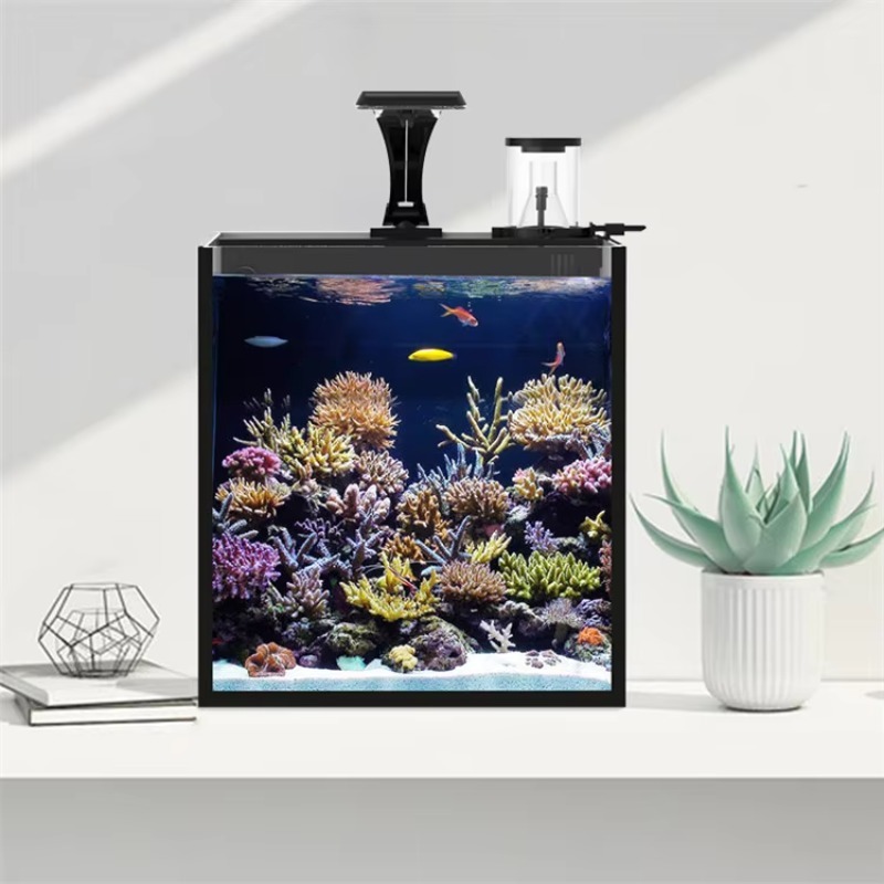 Ultra Clear Glass Mini Salt Wa - Marine Aquarium In Clearwater review and price
