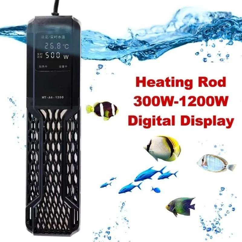 Marine fresh water new aquariu - Marine Aquarium Fish Price review and price