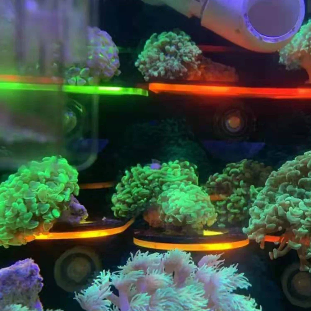 Fish Tank Acrylic Fluorescent  - Marine Aquarium Reef review and price