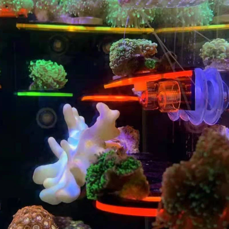 Fish Tank Acrylic Fluorescent  - Marine Aquarium Reef review and price