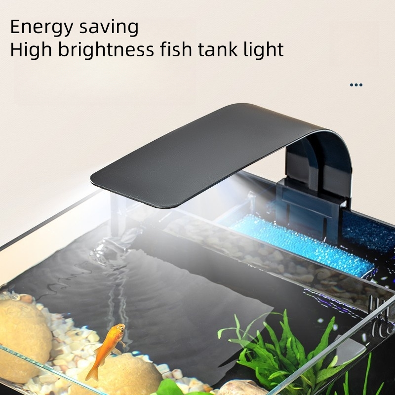 Ultra Clear Glass Luxury Mini  - Marine Aquarium In Clearwater review and price