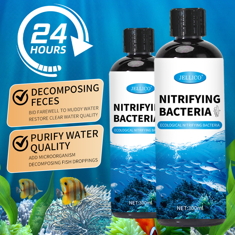 300ml Nitrifying Bacteria Aqua - Marine Aquarium In Clearwater review and price