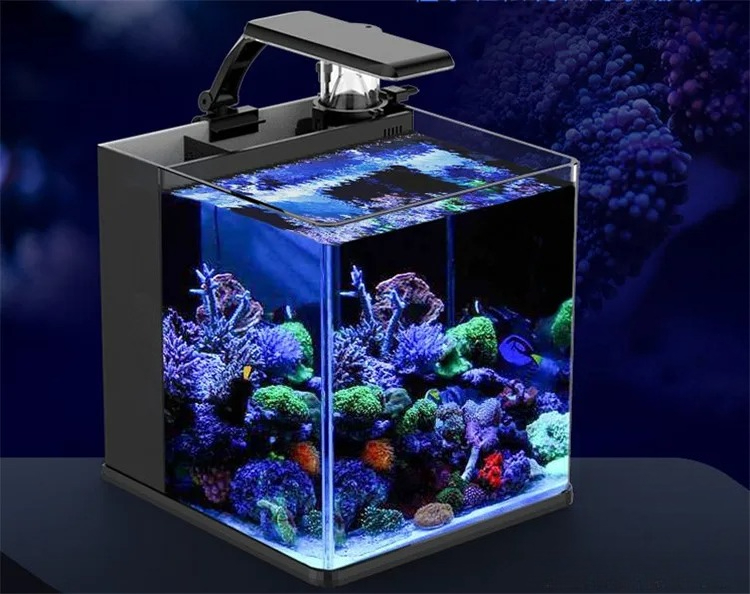Ultra Clear Glass Mini Salt Wa - Marine Aquarium In Clearwater review and price