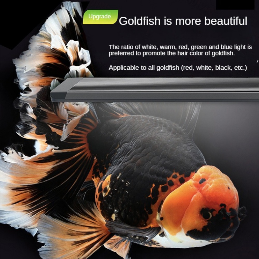 Aquarium Light With Optical Le - Marine Aquarium In Clearwater review and price