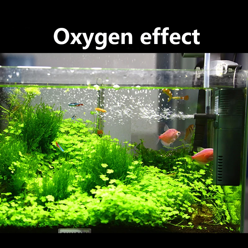 SUNSUN mini nano 111B 311B 611 - Marine Aquarium Reactors review and price